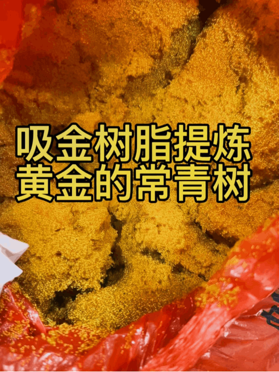 企业演示站